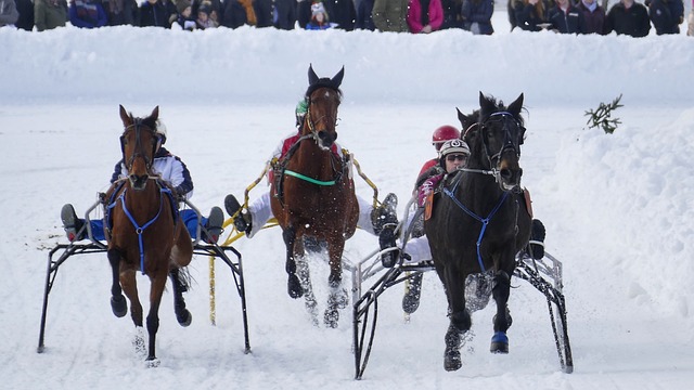 予球队灵魂 予球队灵魂
