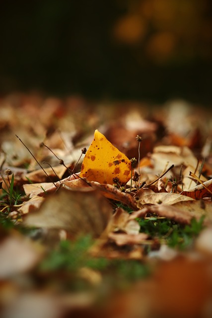 这些大胆的 这些大胆的