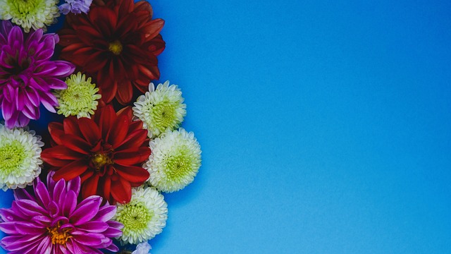 性提出了极 性提出了极