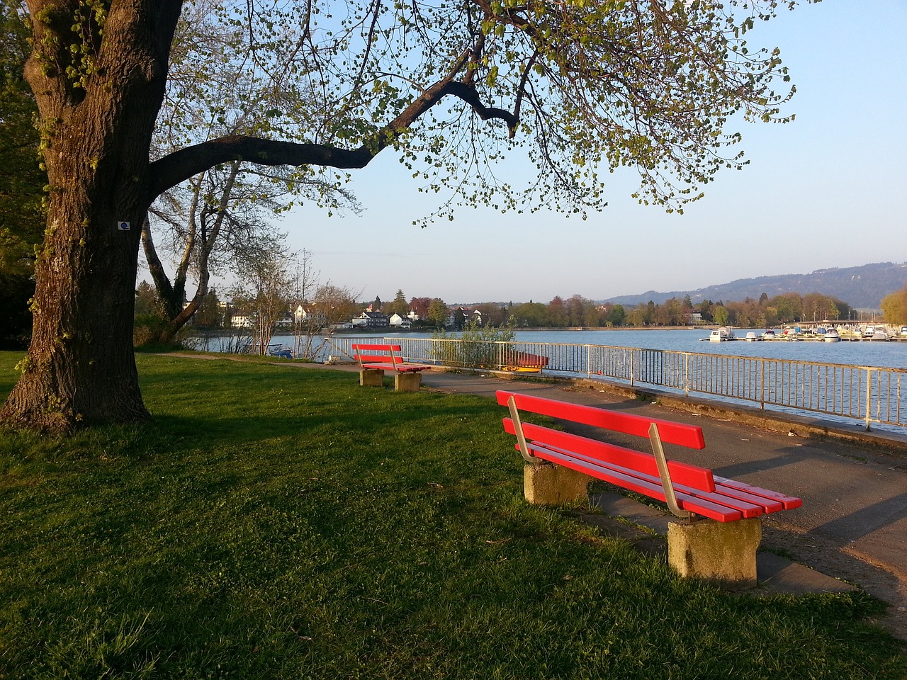 的公正性 的公正性