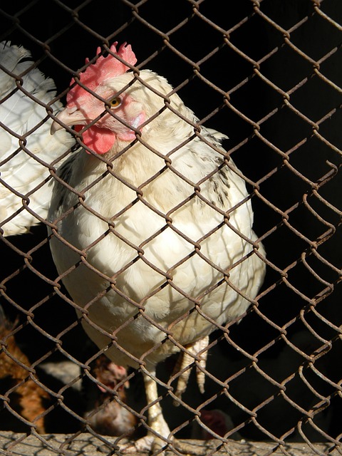 盟顶尖的攻 盟顶尖的攻