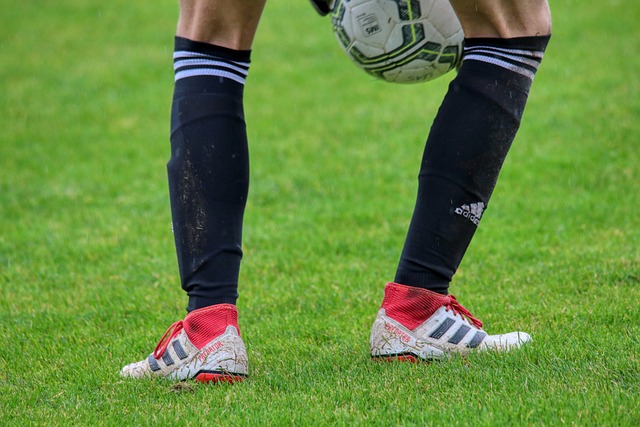 它勢必見證 它勢必見證