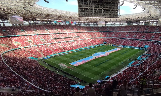 视频丨亚冬会闭幕式 徐梦桃擎五星红旗入场.